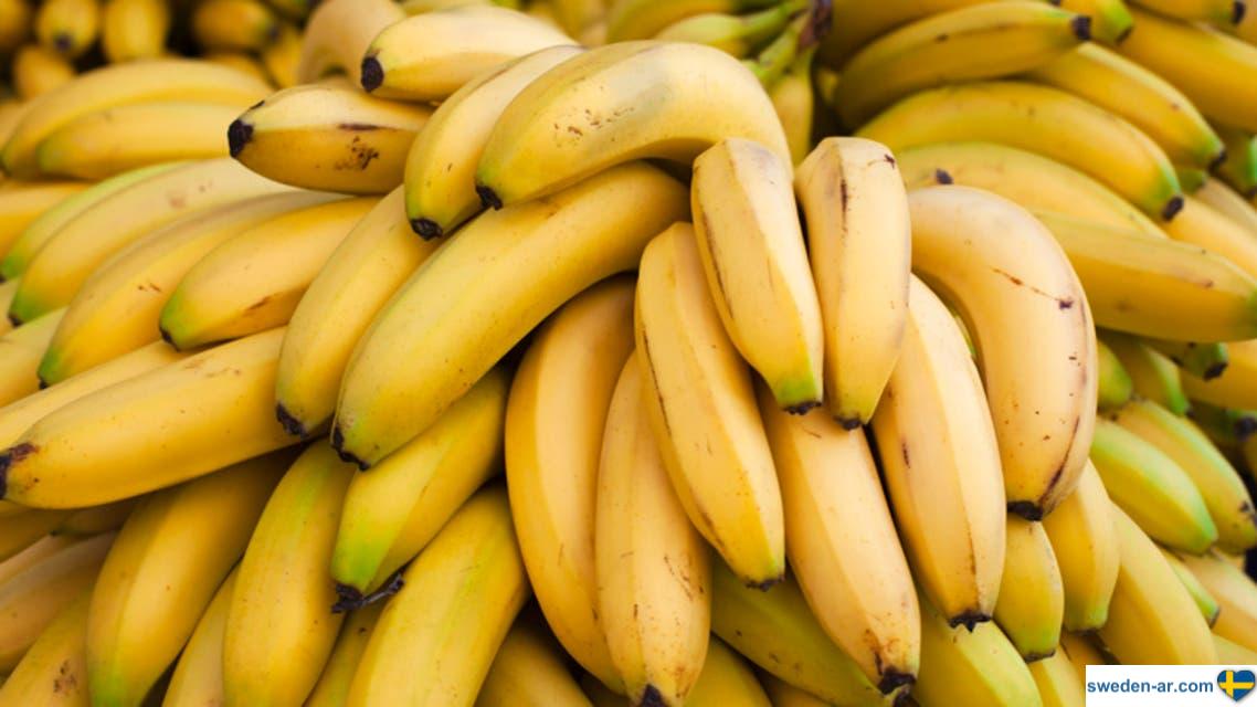 فاكهة الموز الأكثر اشعاعاً
