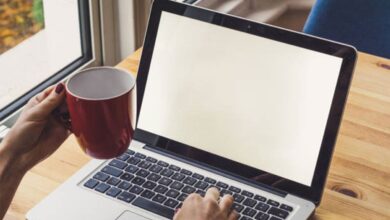 أهم عشر عبارات بحث عنها السويديون