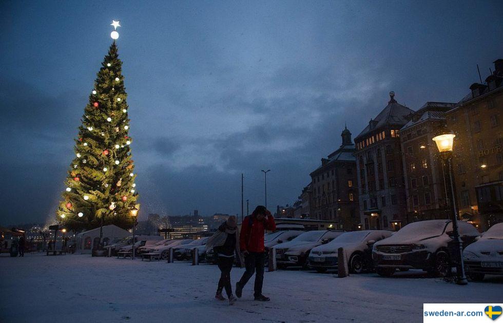 الثلج الأبيض سيغطي السويد في عيد الميلاد