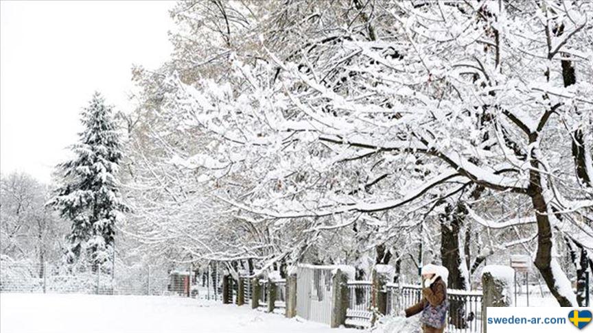الثلج الابيض سيغطي كل مناطق السويد في عيد الميلاد