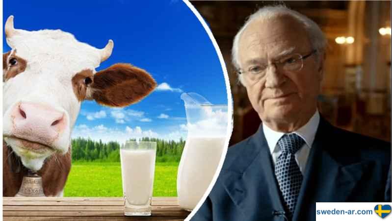 ملك السويد الحليب منتج رائع ورخيص جداً